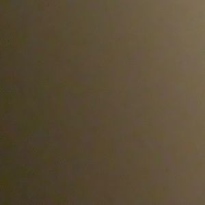 Meet your Posher, Izzy